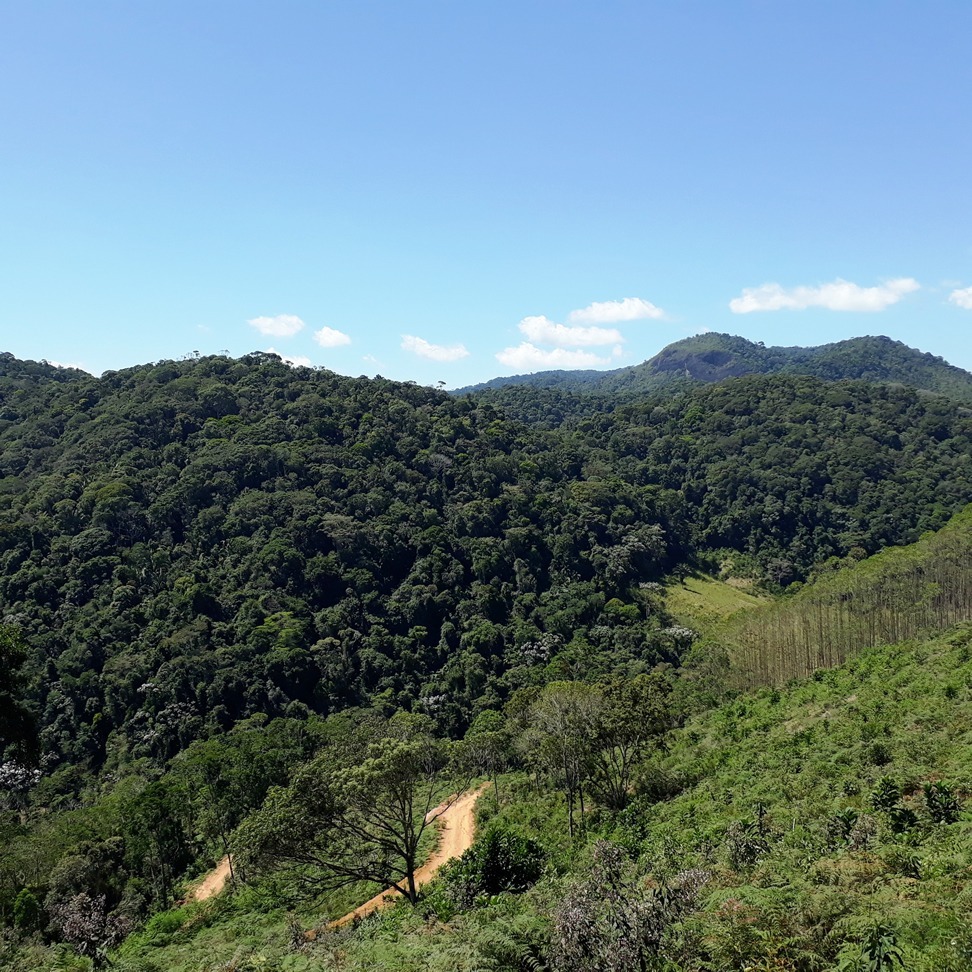 Chácara à venda com 1 quarto, 4000m² - Foto 5