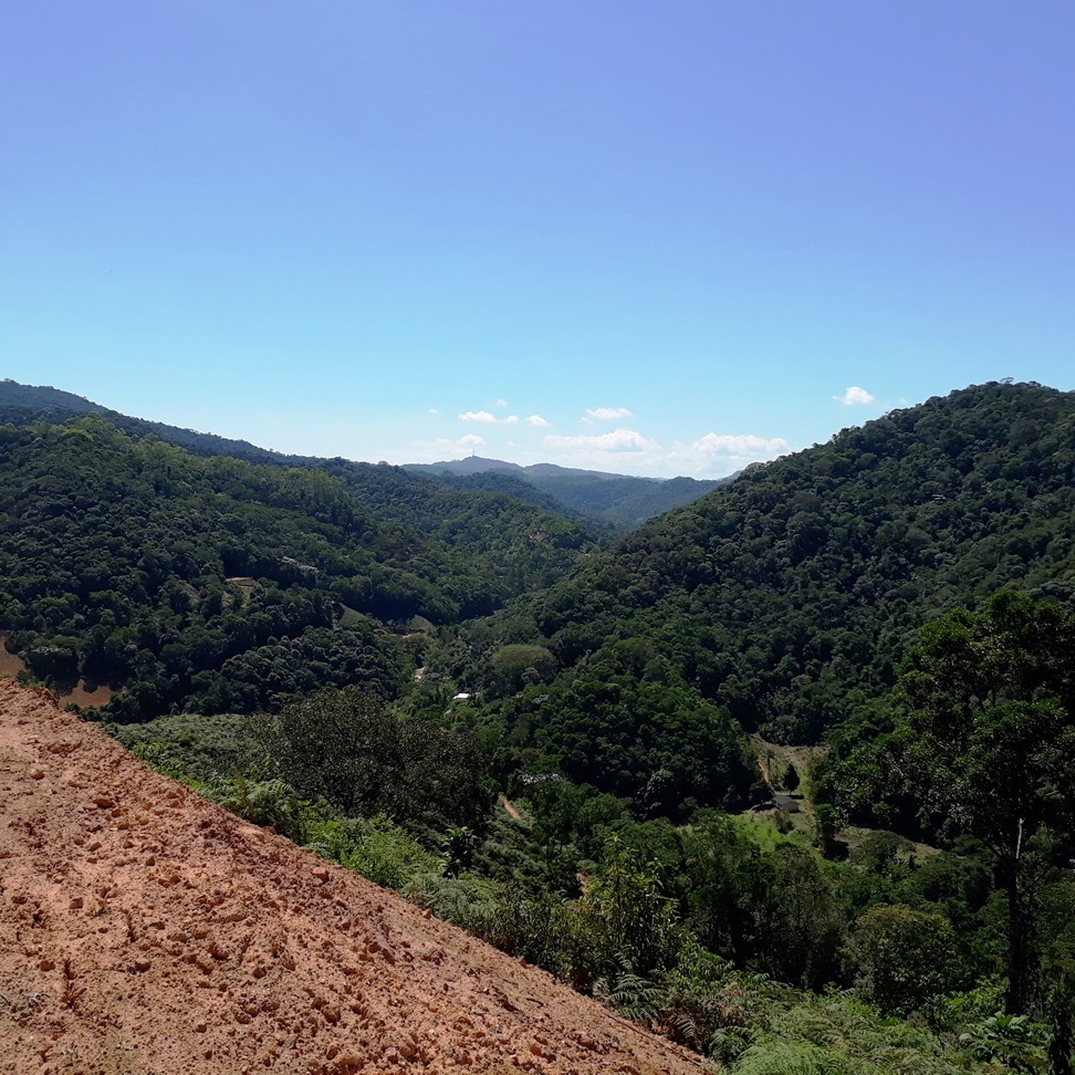 Chácara à venda com 1 quarto, 4000m² - Foto 7