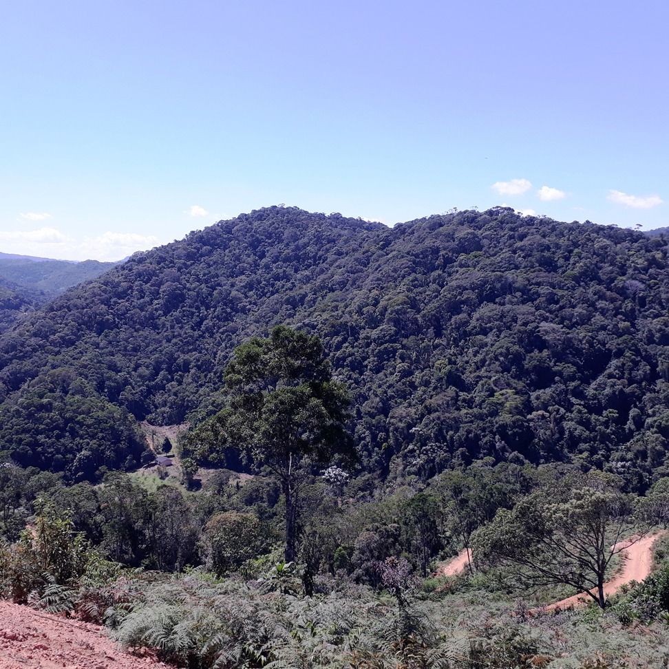 Chácara à venda com 1 quarto, 4000m² - Foto 6