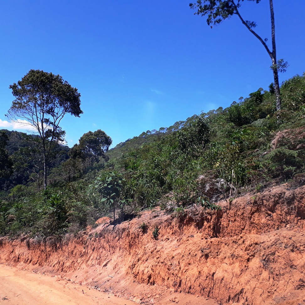 Chácara à venda com 1 quarto, 4000m² - Foto 8