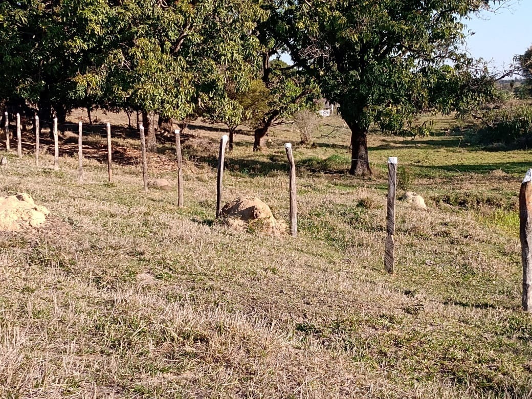 Chácara à venda com 3 quartos - Foto 18