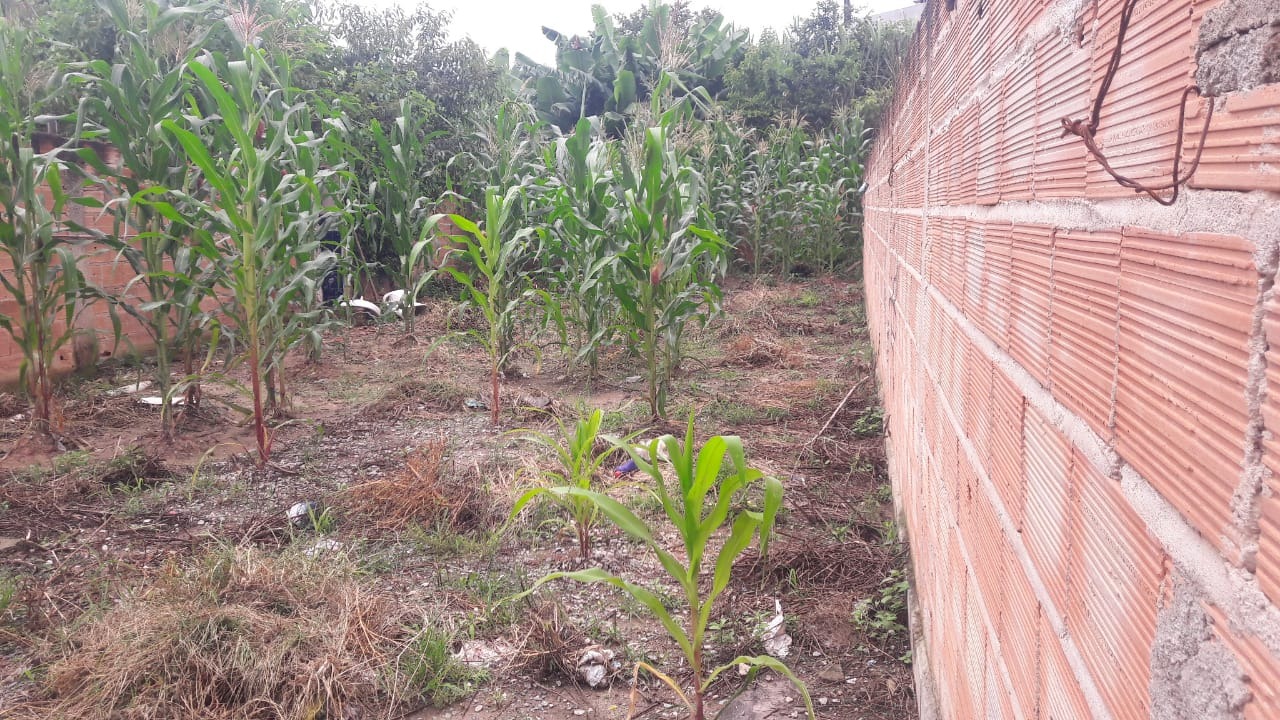 Terreno à venda, 180m² - Foto 2