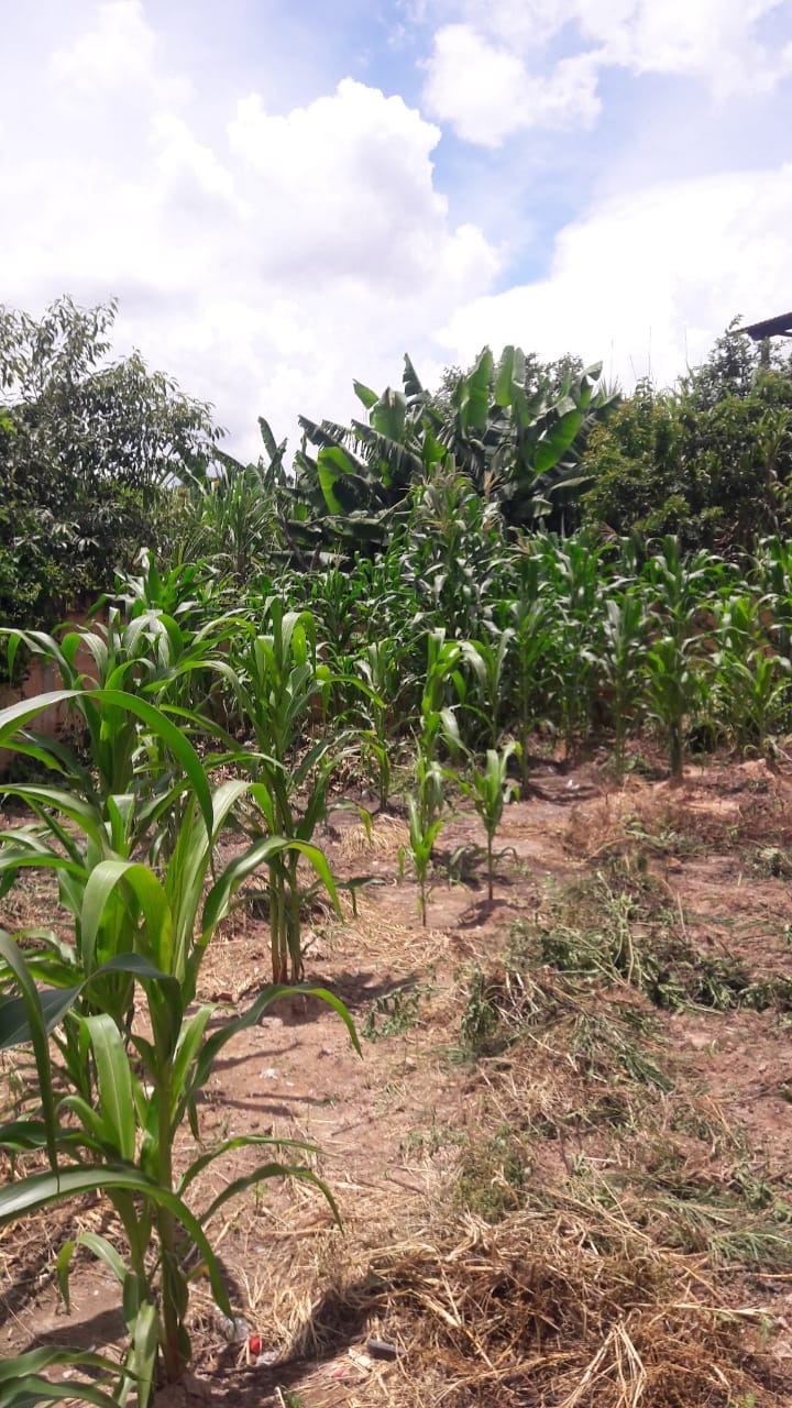 Terreno à venda, 180m² - Foto 3