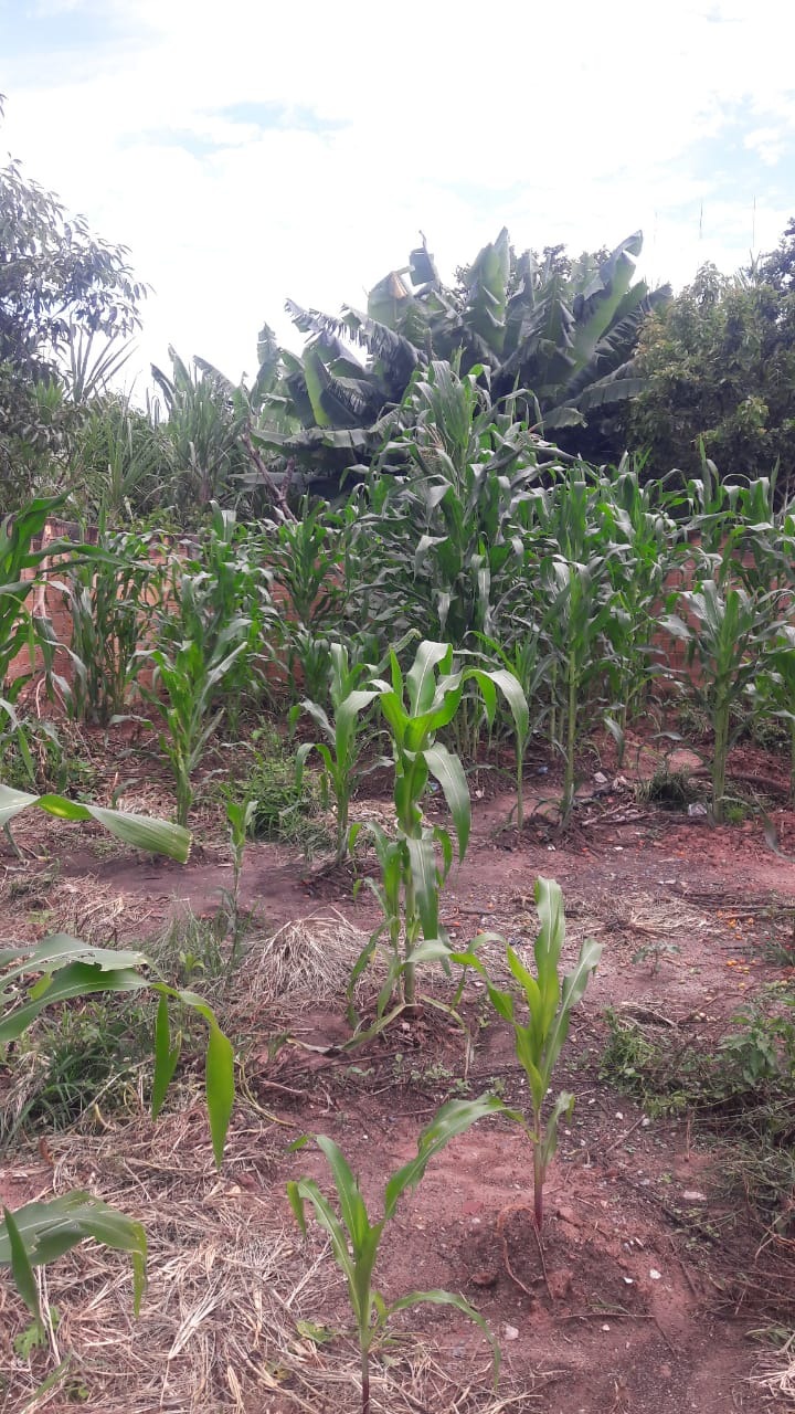 Terreno à venda, 180m² - Foto 6