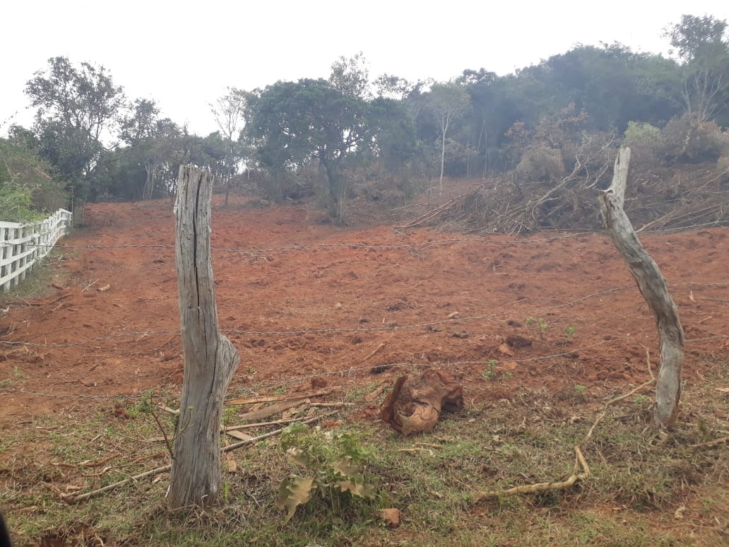 Chácara à venda com 1 quarto, 1000m² - Foto 3