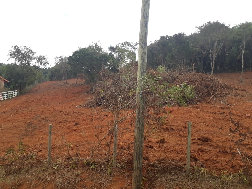 Chácara à venda com 1 quarto, 1000m² - Foto 6