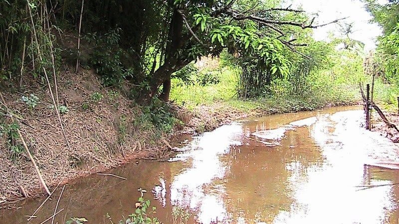 Chácara à venda com 3 quartos, 10000m² - Foto 21