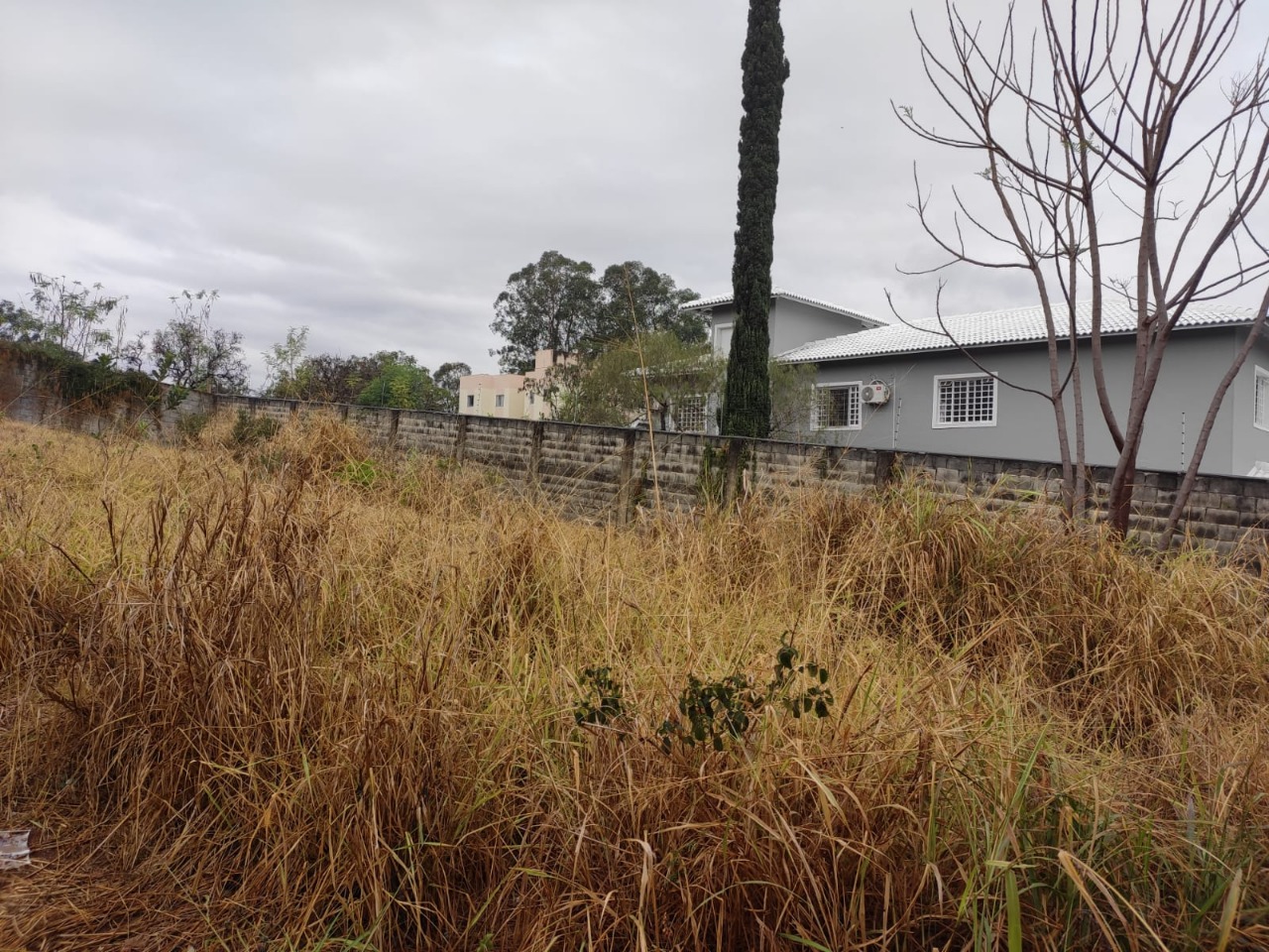 Terreno à venda, 1000m² - Foto 6