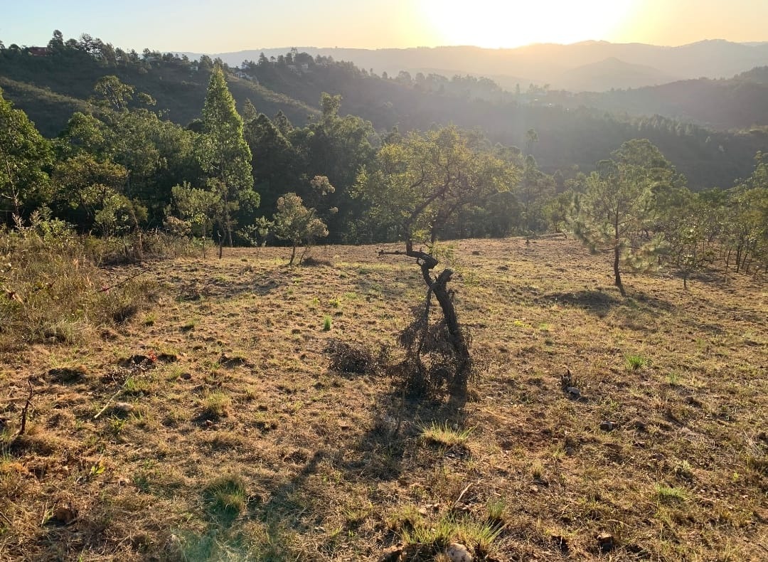 Terreno à venda, 1906m² - Foto 2