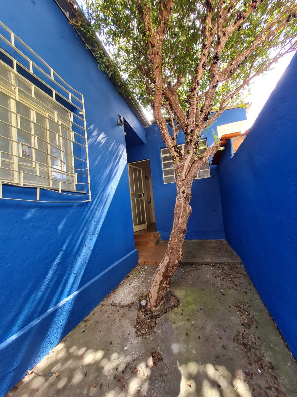 Casa à venda com 3 quartos, 500m² - Foto 10