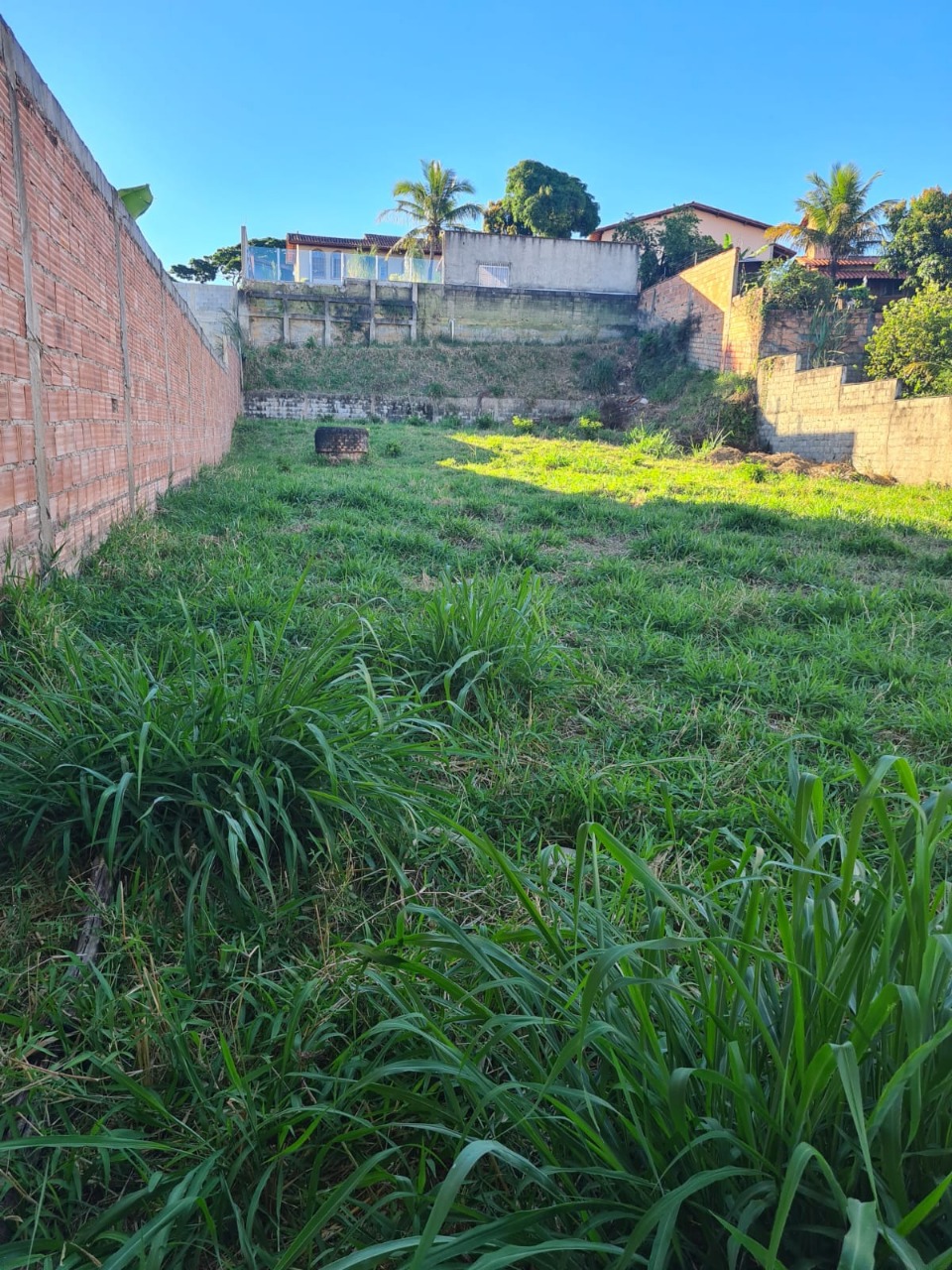 Terreno à venda, 1000m² - Foto 4