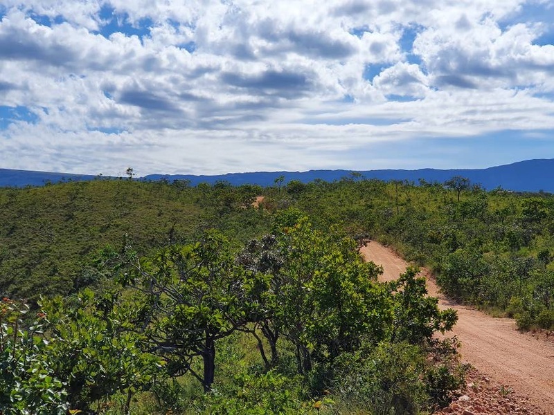 Chácara à venda com 1 quarto, 21747m² - Foto 6