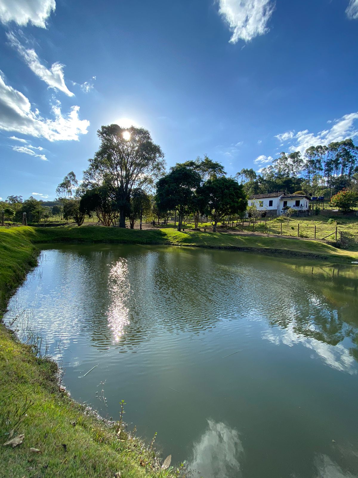 Chácara à venda com 4 quartos, 45000m² - Foto 3