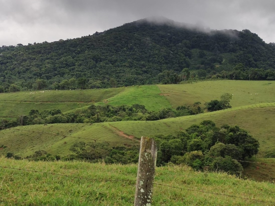 Chácara à venda com 3 quartos, 1700000m² - Foto 7