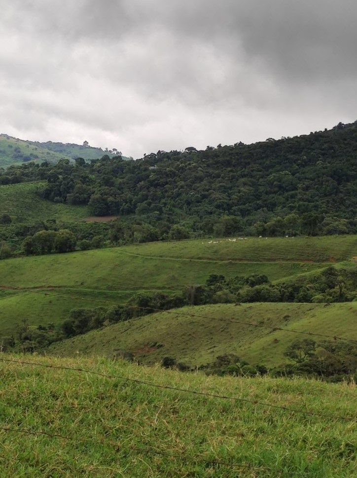 Chácara à venda com 3 quartos, 1700000m² - Foto 8