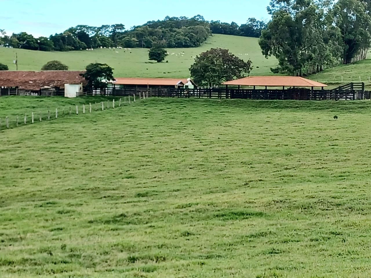 Chácara à venda com 3 quartos, 1700000m² - Foto 1