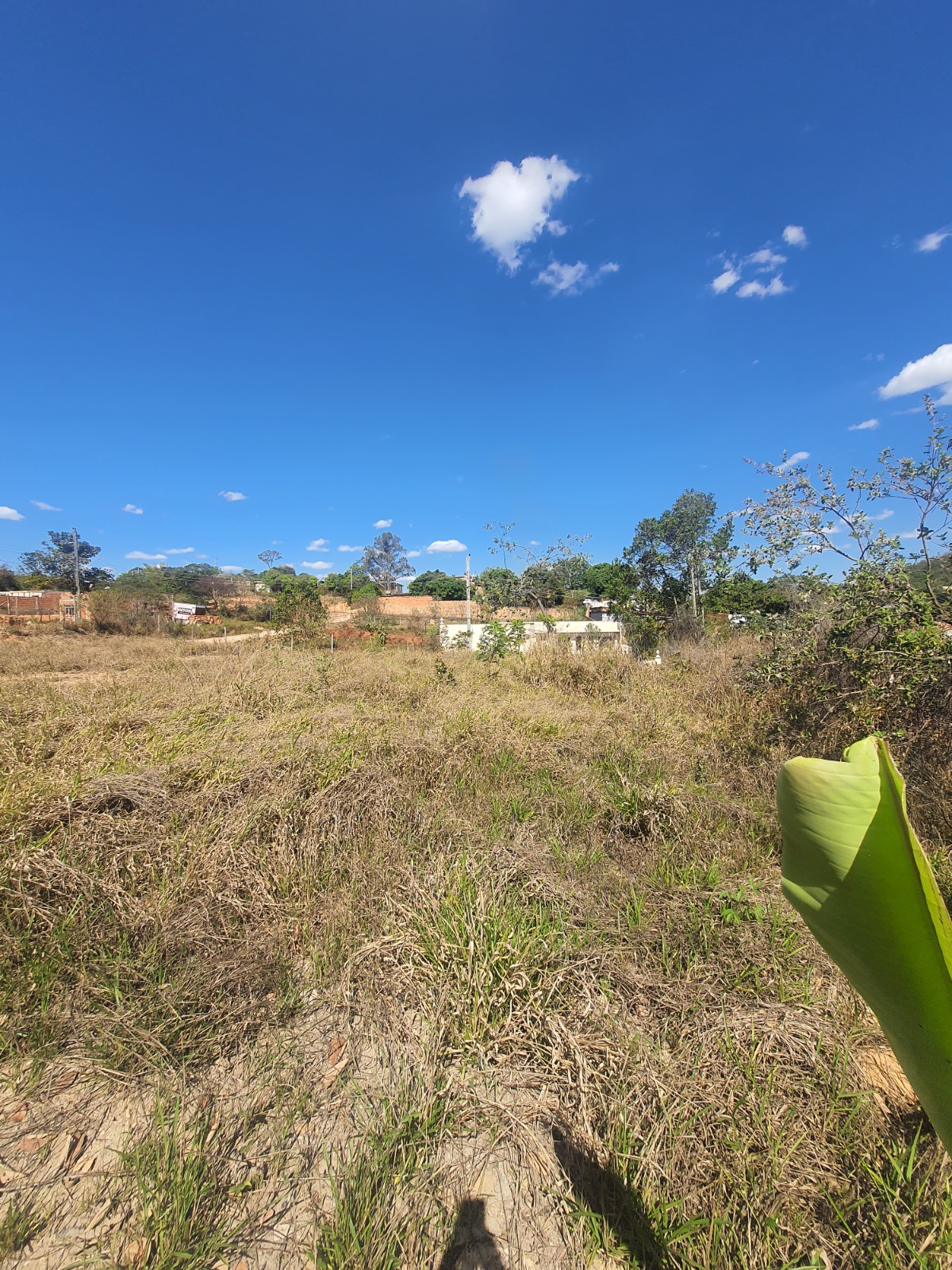 Terreno à venda - Foto 6