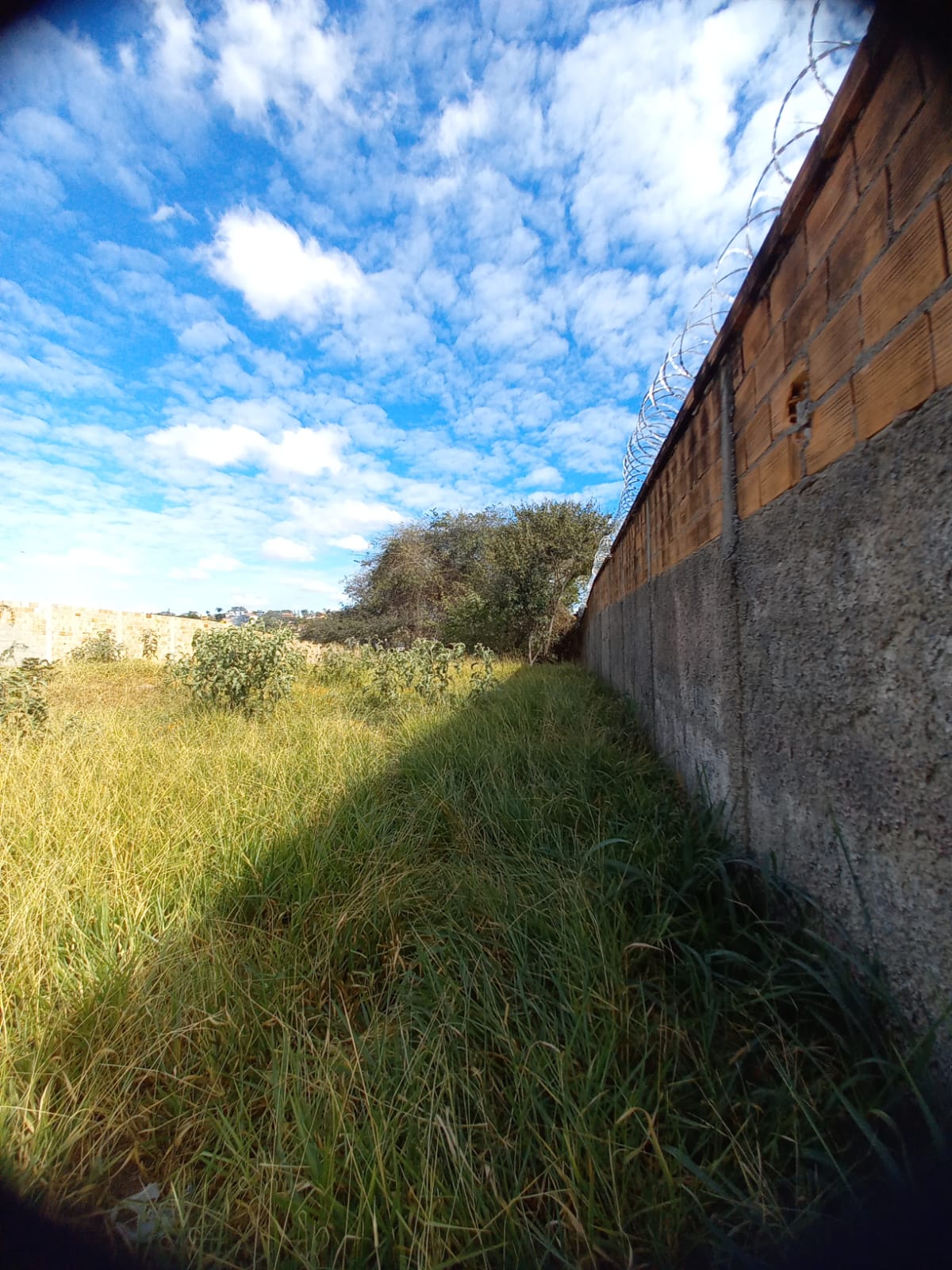 Terreno à venda - Foto 2