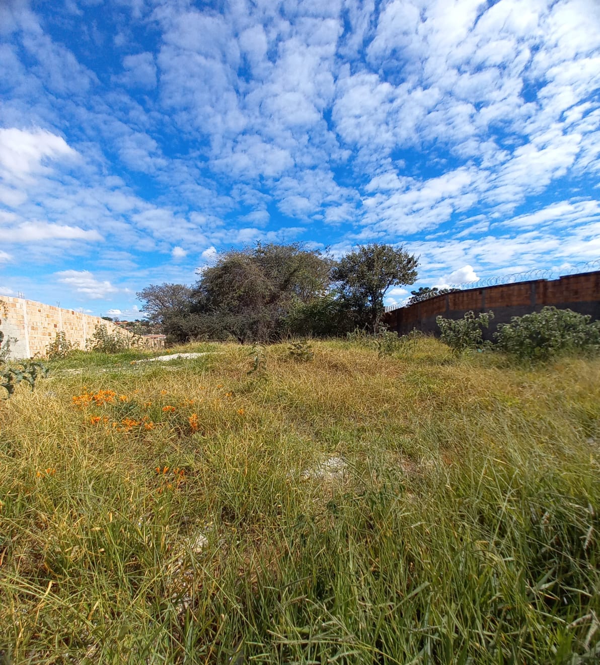 Terreno à venda - Foto 1