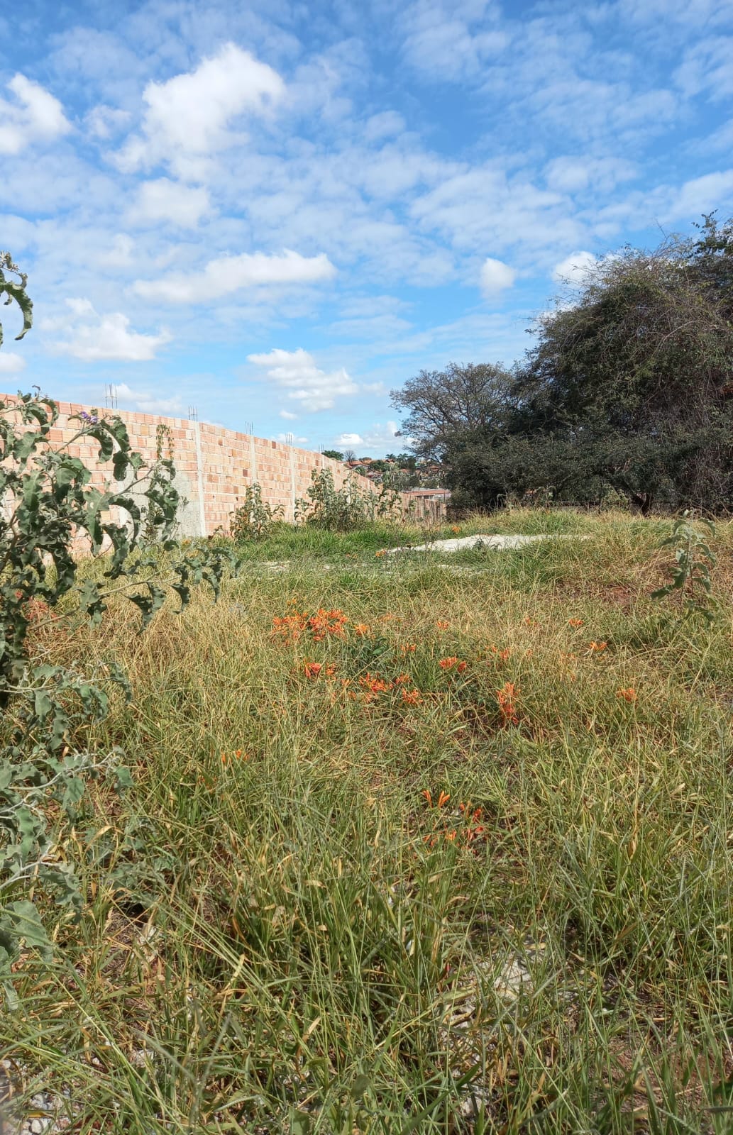 Terreno à venda - Foto 4