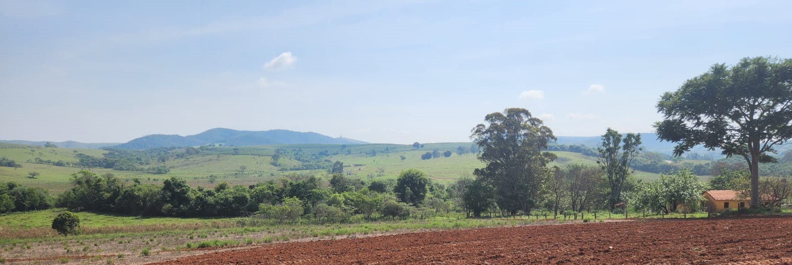 Chácara à venda com 1 quarto, 1450000m² - Foto 3