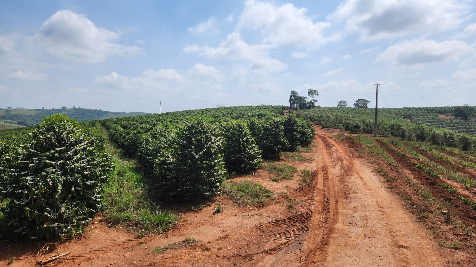 Chácara à venda com 1 quarto, 254000m² - Foto 6