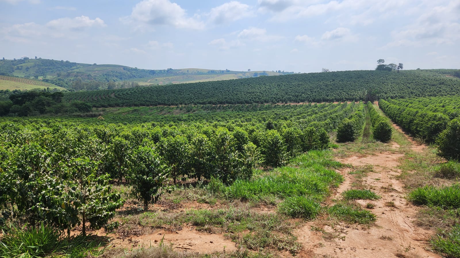 Chácara à venda com 1 quarto, 254000m² - Foto 3