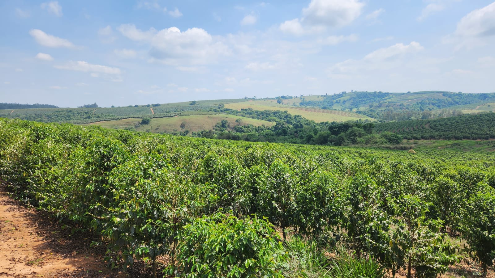 Chácara à venda com 1 quarto, 254000m² - Foto 4