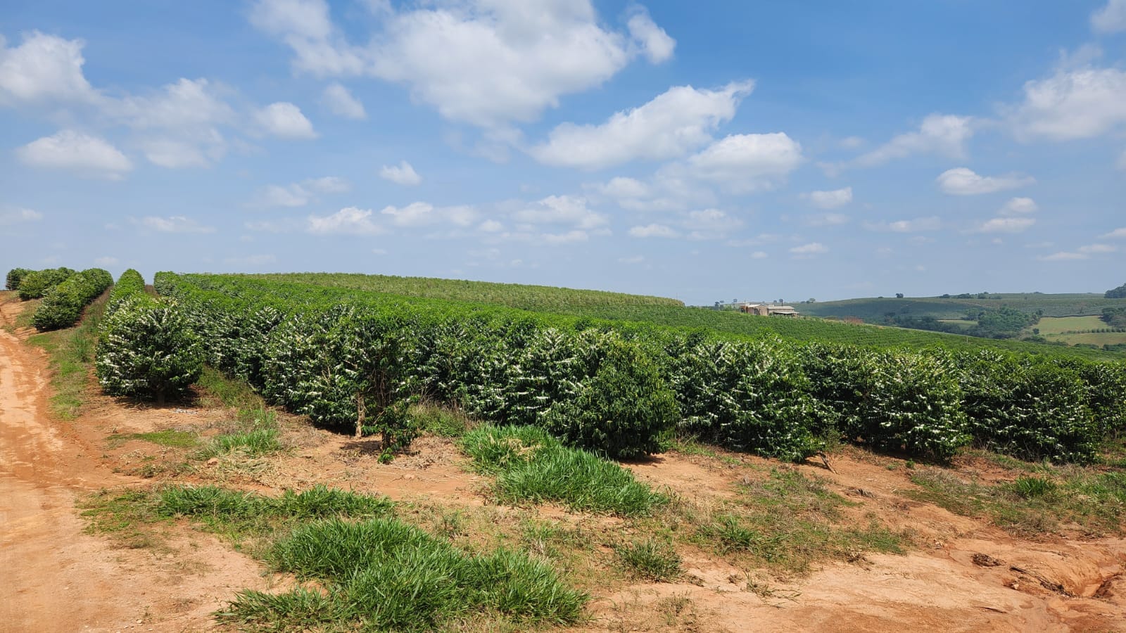 Chácara à venda com 1 quarto, 254000m² - Foto 9