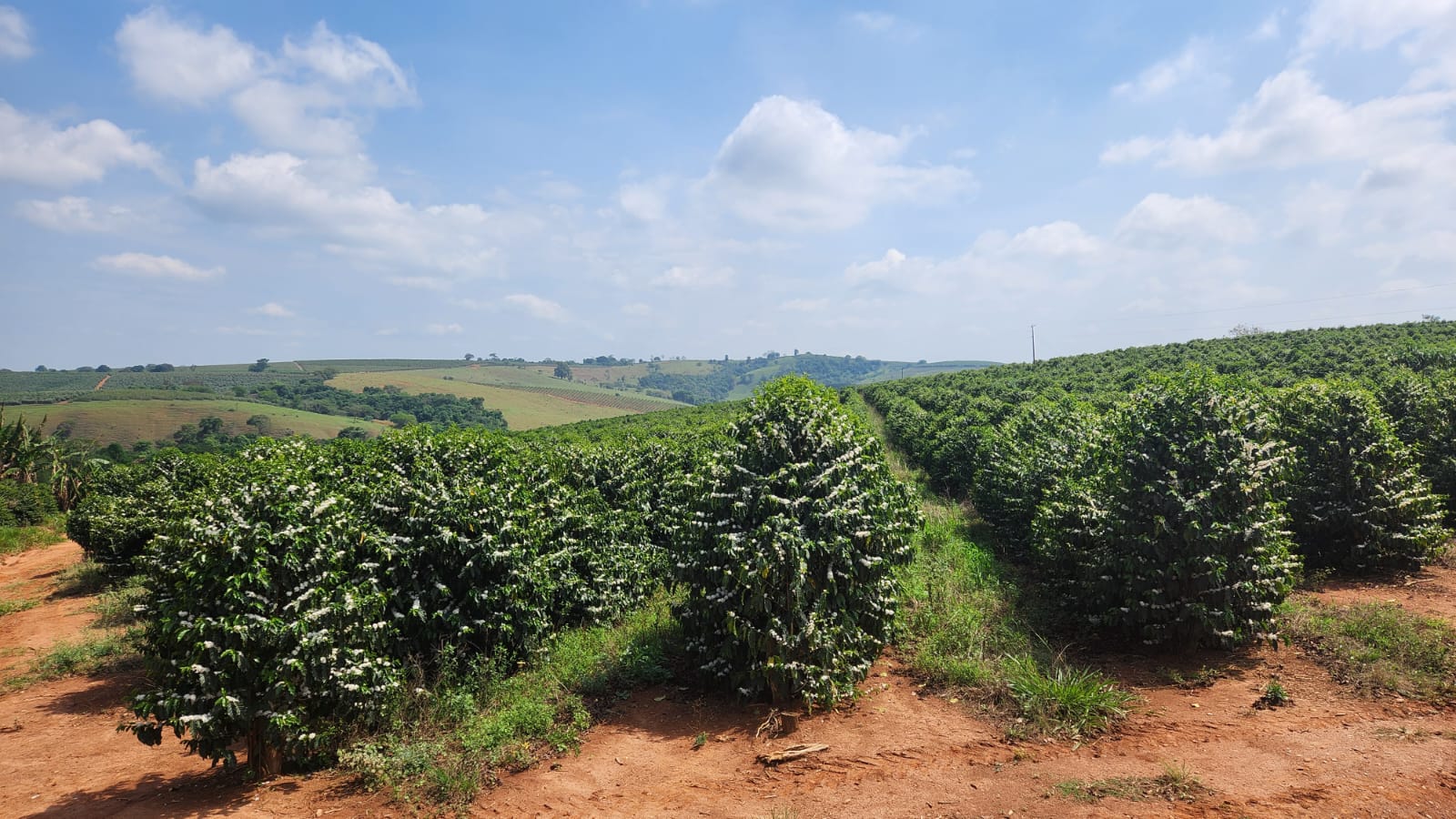 Chácara à venda com 1 quarto, 254000m² - Foto 7