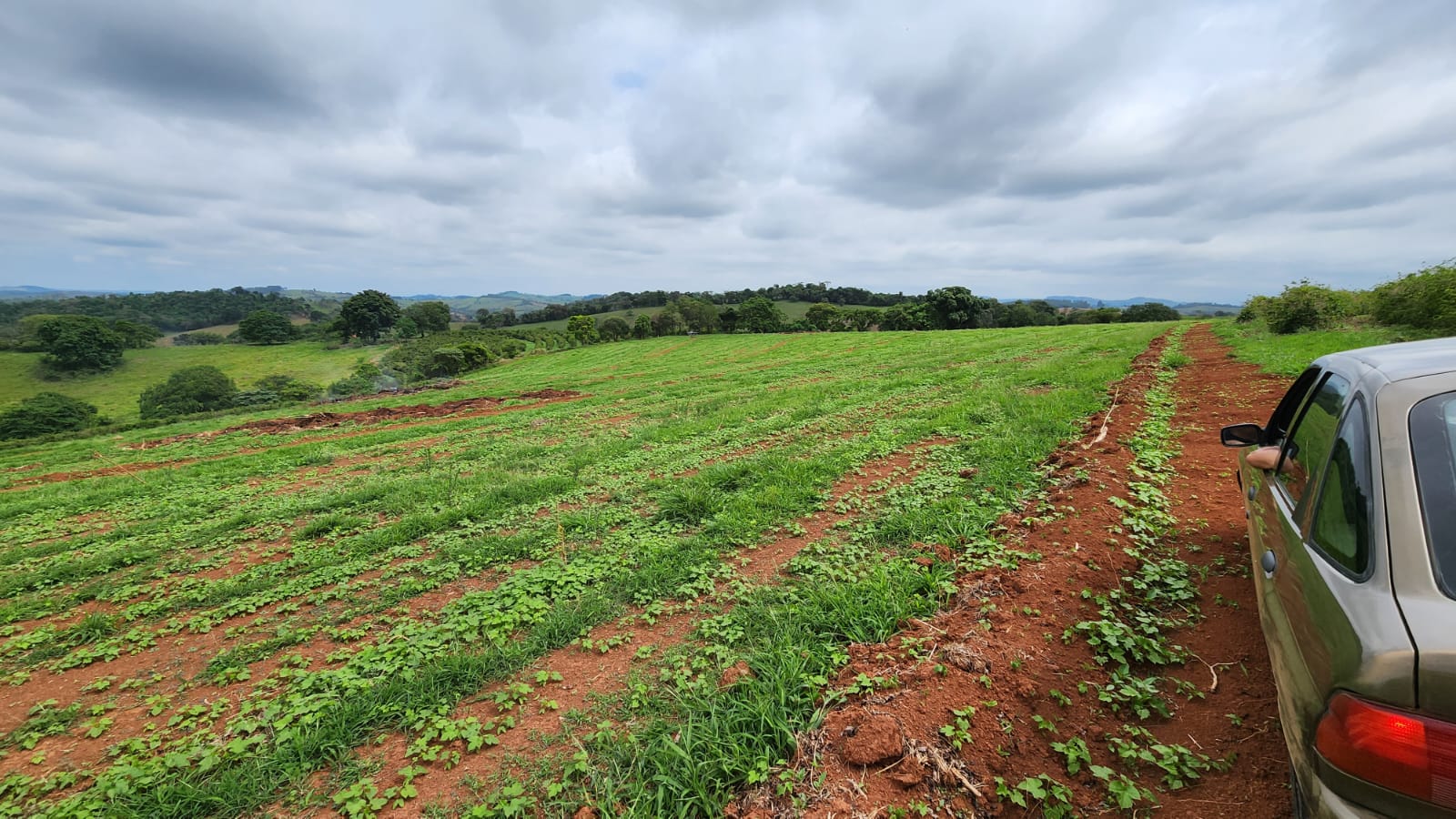 Chácara à venda com 4 quartos, 660000m² - Foto 7