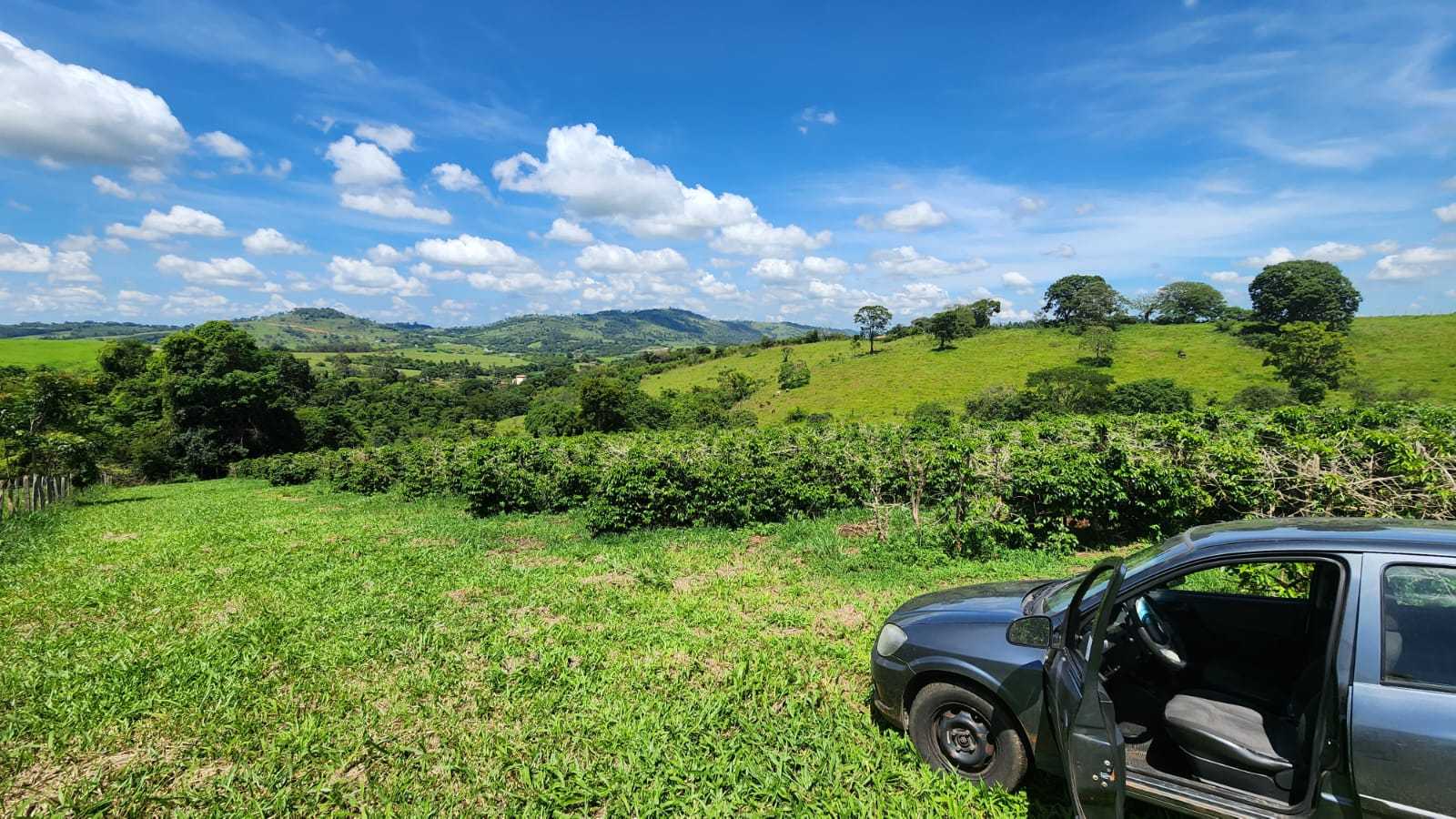 Chácara à venda com 4 quartos, 660000m² - Foto 14