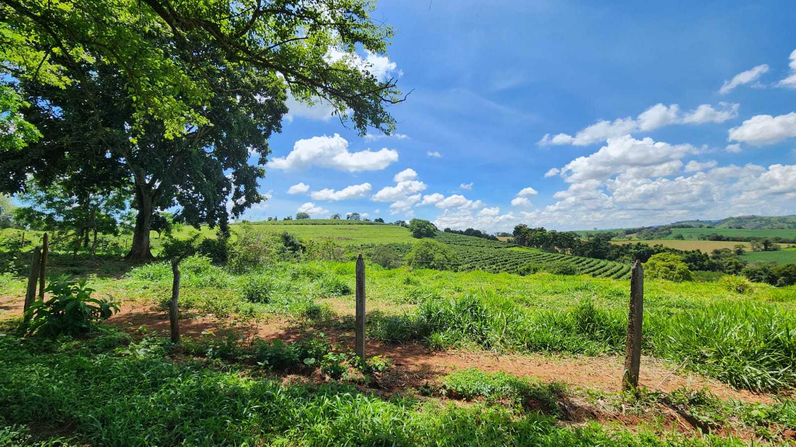 Chácara à venda com 4 quartos, 660000m² - Foto 16