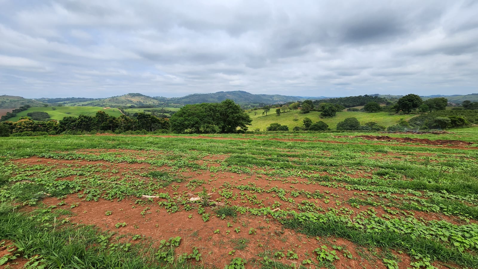 Chácara à venda com 4 quartos, 660000m² - Foto 15