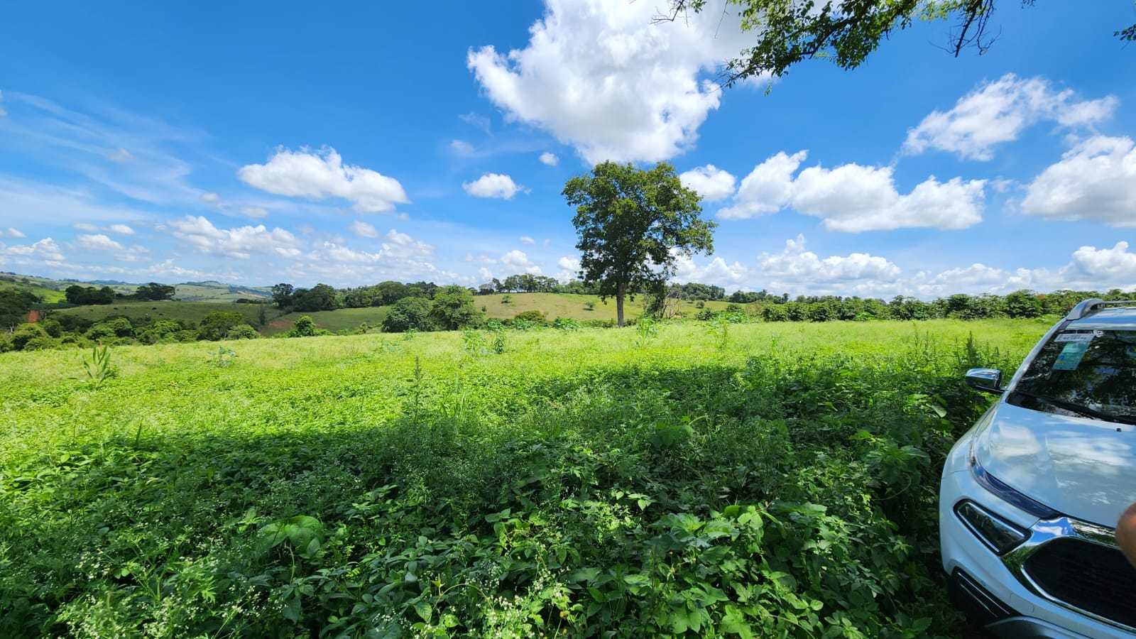 Chácara à venda com 4 quartos, 660000m² - Foto 20