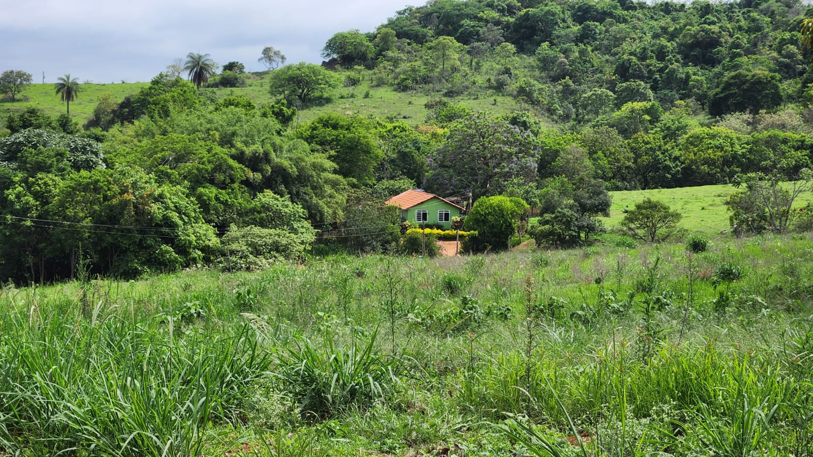 Chácara à venda com 4 quartos, 660000m² - Foto 17