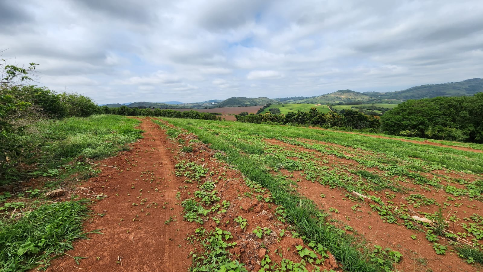 Chácara à venda com 4 quartos, 660000m² - Foto 12