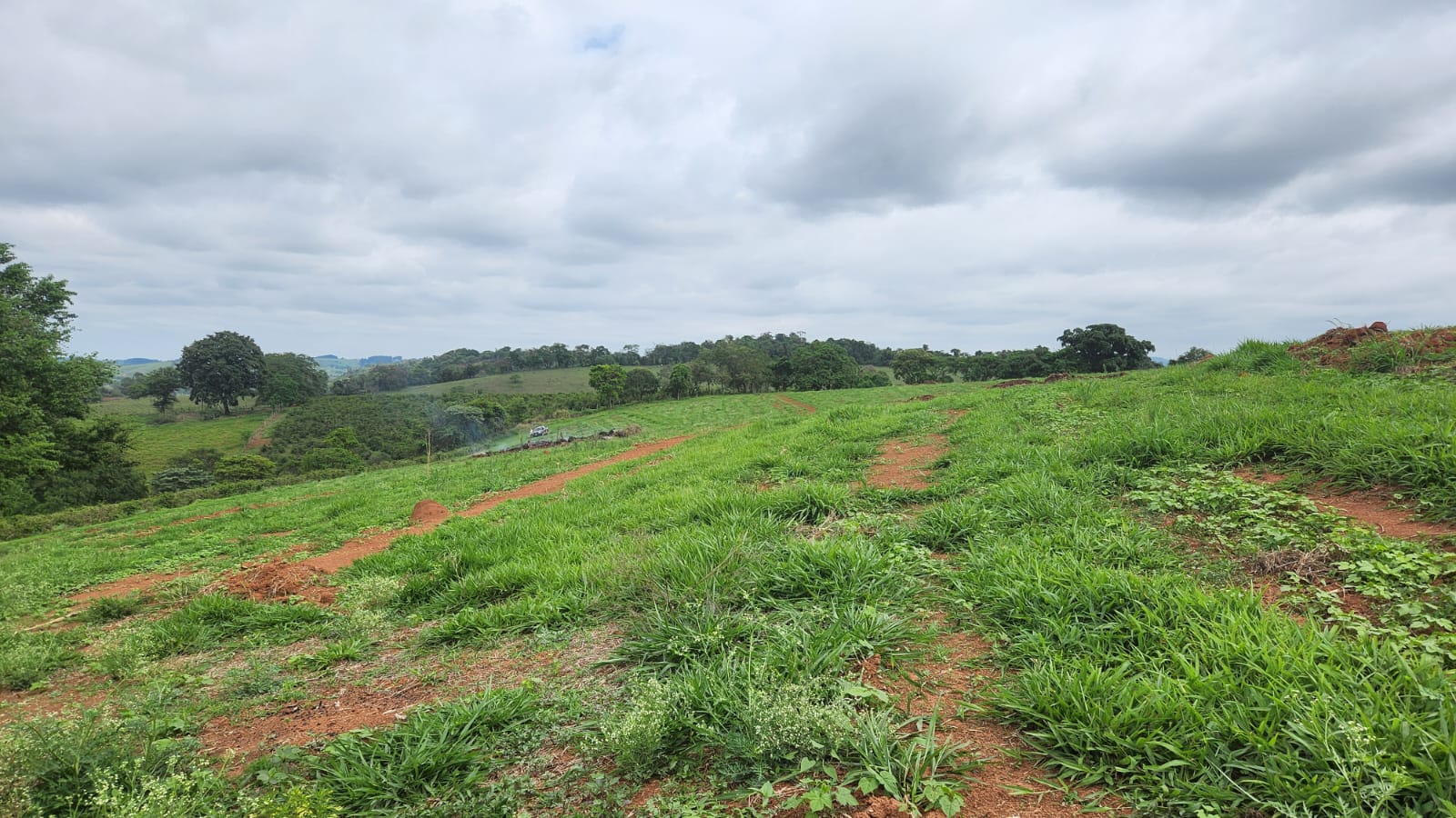 Chácara à venda com 4 quartos, 660000m² - Foto 11