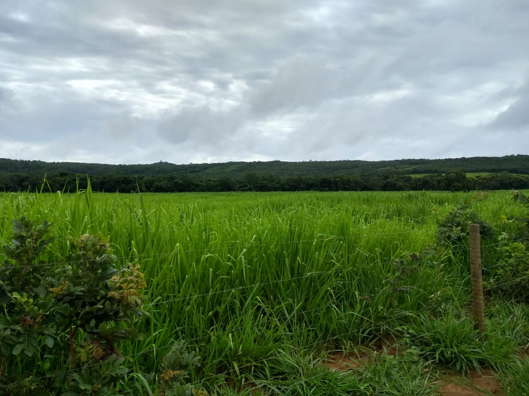 Chácara à venda com 5 quartos, 6200000m² - Foto 16