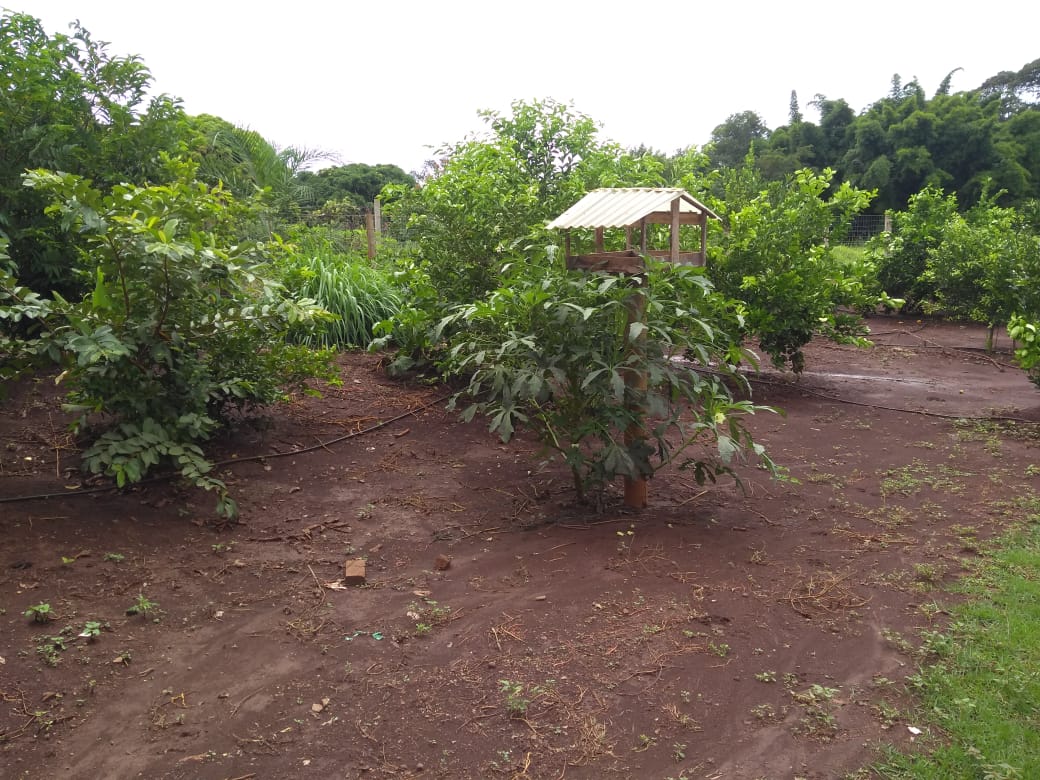 Chácara à venda com 5 quartos, 6200000m² - Foto 8