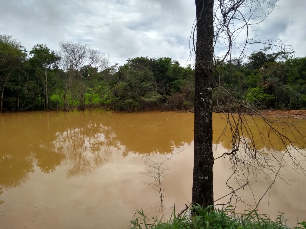 Chácara à venda com 5 quartos, 6200000m² - Foto 19