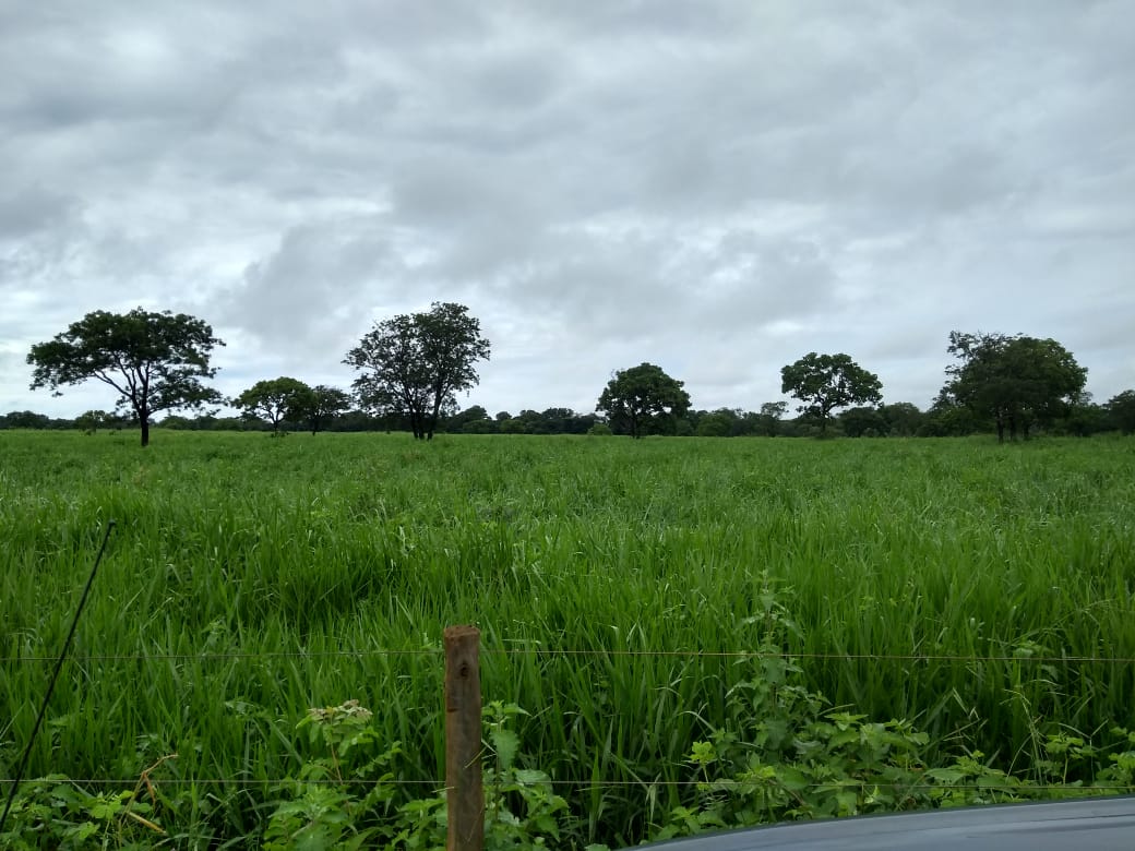 Chácara, 5 quartos, 620 hectares - Foto 4