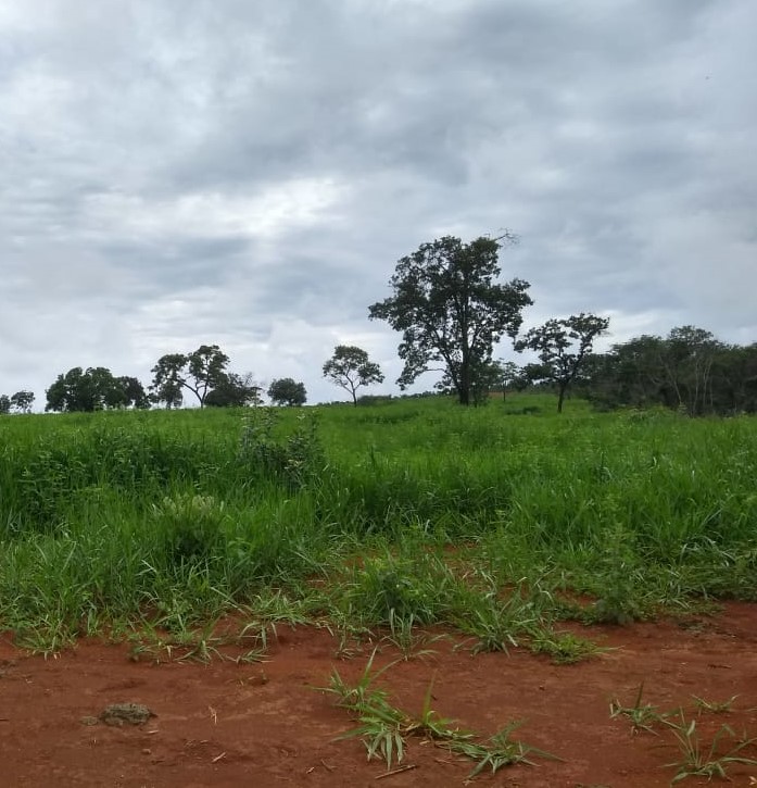 Chácara à venda com 5 quartos, 6200000m² - Foto 13