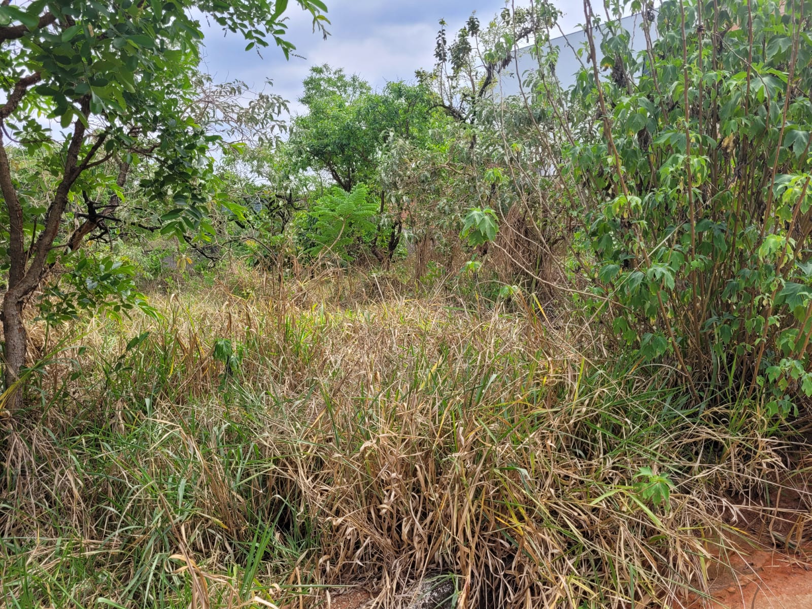 Terreno à venda, 360m² - Foto 3