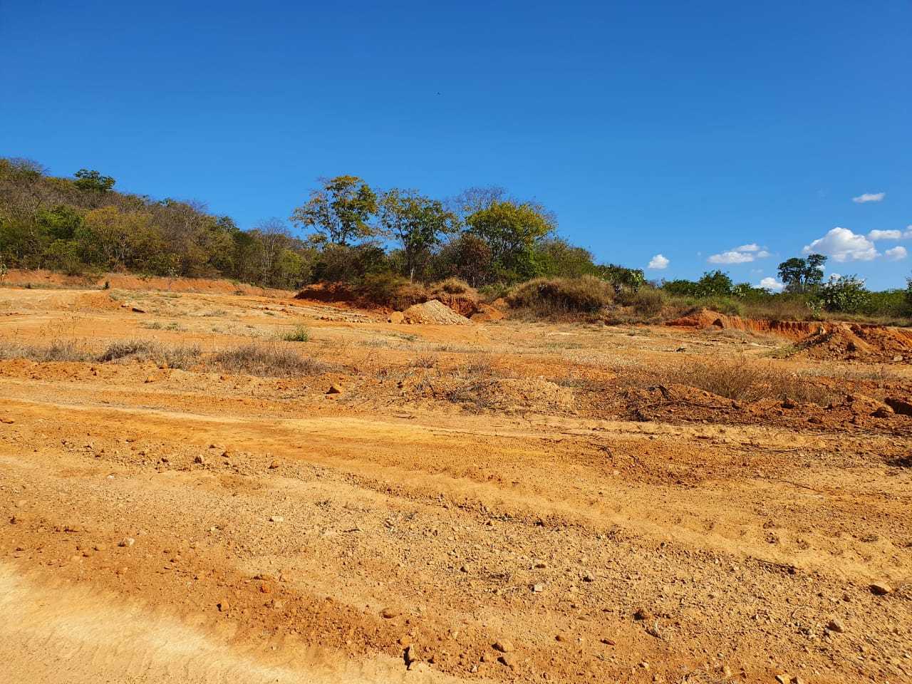 Chácara à venda com 1 quarto, 450000m² - Foto 10