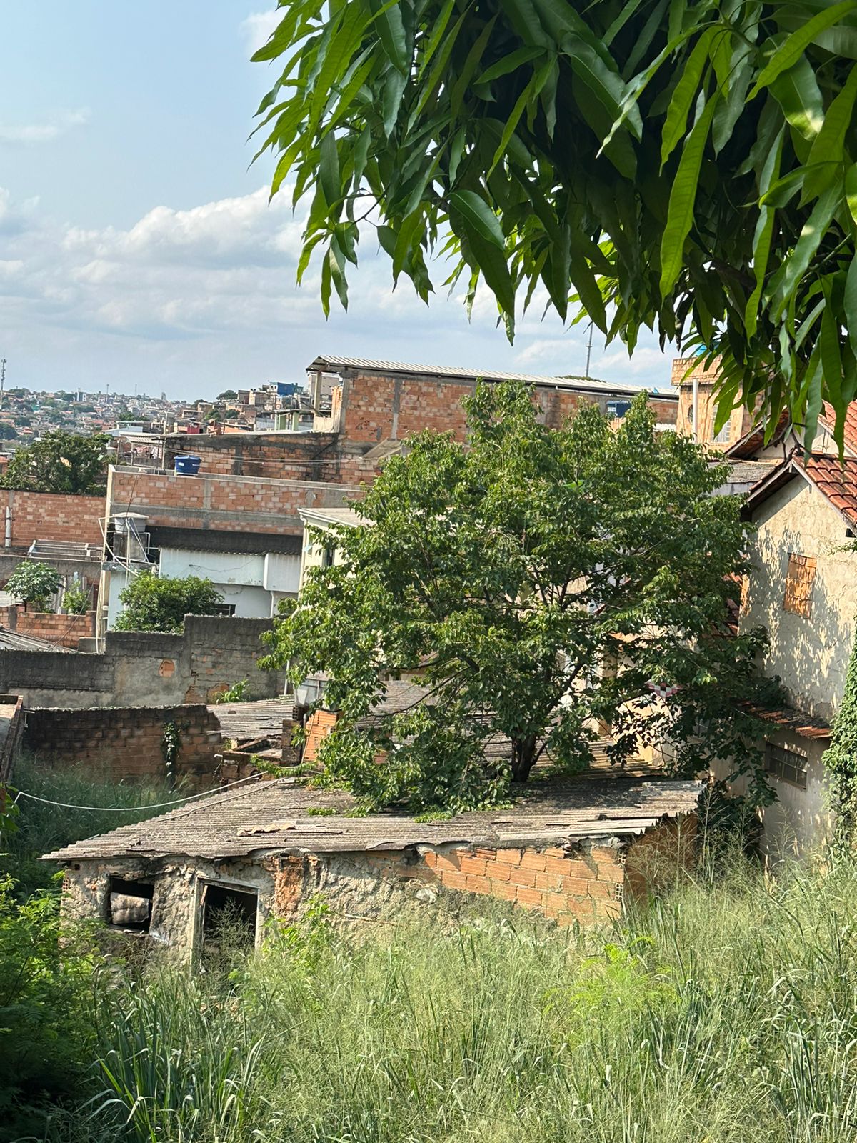 Terreno à venda, 350m² - Foto 7