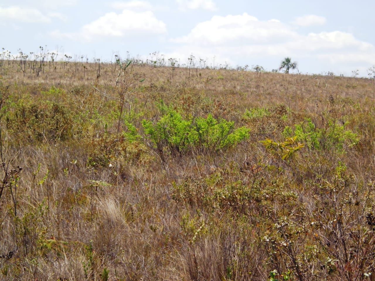 Chácara à venda com 1 quarto, 17650000m² - Foto 12