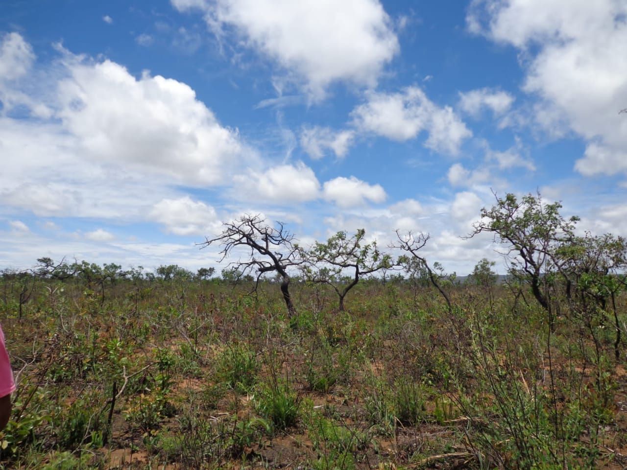 Chácara à venda com 1 quarto, 17650000m² - Foto 4