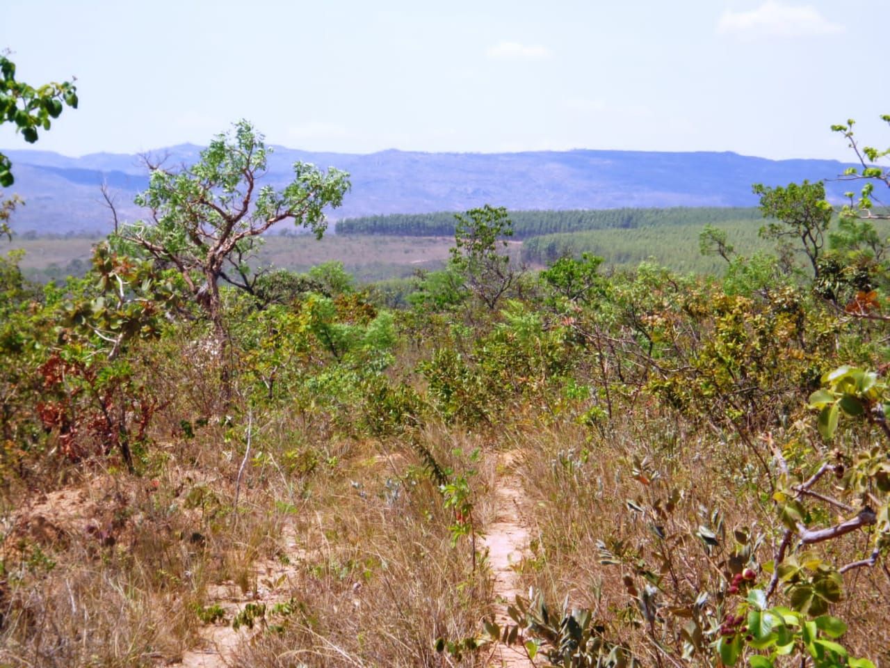 Chácara à venda com 1 quarto, 17650000m² - Foto 9