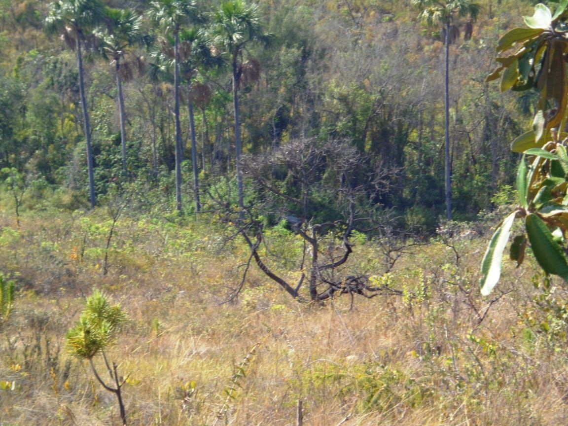 Chácara à venda com 1 quarto, 17650000m² - Foto 21